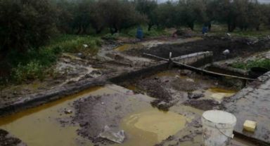 Fabrikada Depolar Patladı 50 Ton Zeytinyağı Araziye Yayıldı