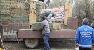 ZOR DURUMDAKİ AYDINLI ÜRETİCİYE YEM VE YONCA DESTEĞİ