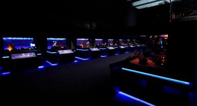 ANKARA DİJİTAL HAYVANAT BAHÇESİ AÇILIYOR