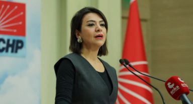 CHP Genel Başkan Yardımcısı Taşçıer Emeklilerin Bayram İkramiyesi 15 Bin Lira Olmalı Dedi