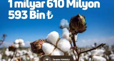 Bakanlık çiftçilere güzel haberi duyurdu! Ödemeler yattı hesaplarınızı kontrol edin