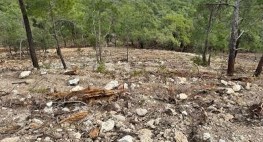 Başkan Topaloğlu “Doğamızın göz göre göre katledilmesine seyirci kalmayacağız.”