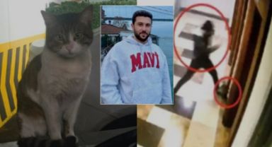 Kedi Eros'u Vahşice Katleden İbrahim Keloğlan İfade Verdi