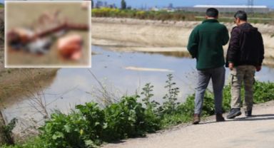 Sulama kanalında kesilmiş at ve eşek eti kalıntısı bulundu