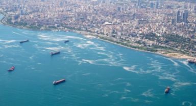 Marmara Denizi'ndeki kirlilik ve müsilaj için uyarı: 50 yılda 19 balık türü kayboldu