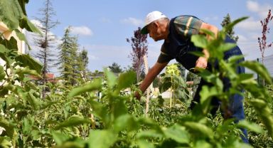 Tepebaşı Belediyesi Metin Özöğüt Yaşam Merkezi, deneyimli vatandaşlara sağlık ve huzur içinde sıcak bir yuva oluyor.