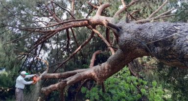 ÇİNE BELEDİYESİ YAĞIŞIN HASARLARINI SİLİYOR