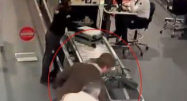 İstanbul'da Gözaltına Alınan ABD'li Müze Müdürünün İfadesi Ortaya Çıktı: Türkiye'den Kaçak Aldığı Endemik Hayvanlar İçin Adli Süreç Başladı