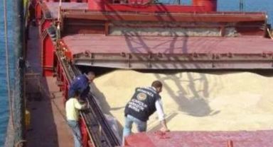 Tekirdağ Limanı’na Getirilen Mısırda GDO Tespit Edildi