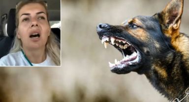 Ankara'da Kuduz Köpek Skandalı: Şehirde Alarm Durumu!