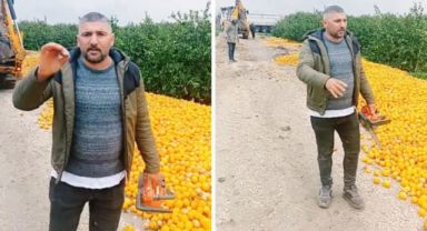 Adana'da Limon Üreticisi, Pahalı Satış Fiyatına Rağmen Ürünleri Çürümeye Bıraktı