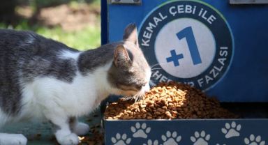 DOSTLARIMIZ KÜÇÜKÇEKMECE’DE GÜVENDE !