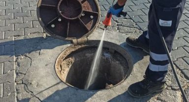 EFES SELÇUK’TA HAŞERE SORUNUNA KARŞI YOĞUN MÜCADELE: ÖNLEMLER ARTIRILDI