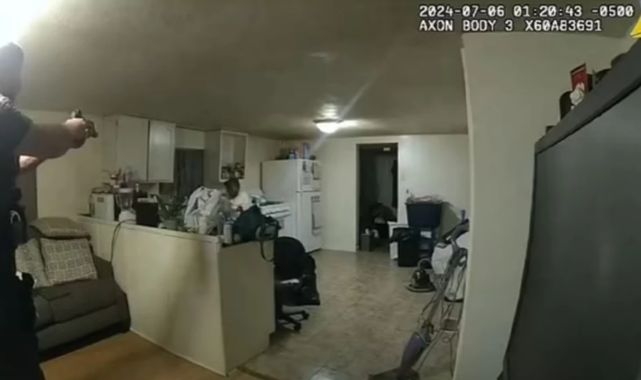 Illinois'de Beyaz Polis Memuru Tarafından Siyahi Kadının Vurulması: Olayın Ayrıntıları ve Kamu Tepkisi