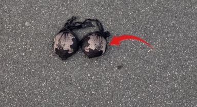 İngiltere'de Sokakta Bulunan Sutyen 18 Bin Dolara Satışa Çıkarıldı: İşte Detaylar