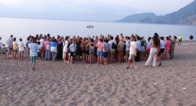 Kemer’de son 30 yılın caretta caretta rekoru bekleniyor 