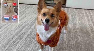 Steph Furry Adlı Köpekten Türkiye-Hollanda Maçı İçin Skor Öngörüsü