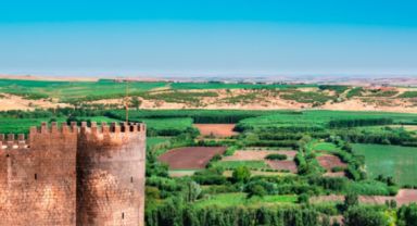 UNESCO Dünya Mirası Hevsel Bahçelerine Narkotik Operasyonu: Binlerce Kök Kenevir ve Esrar Ele Geçirildi