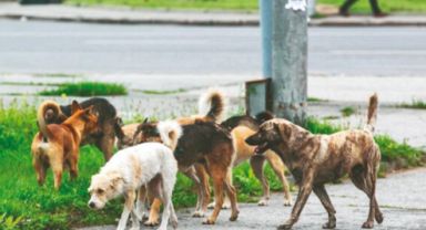 Baba Kızının Durumundan Endişeli: 