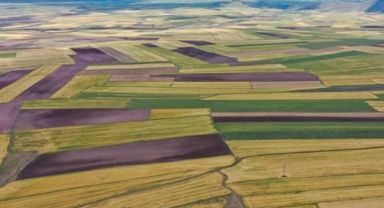 Tarım Arazileri İçin Yeni Kiralama Düzenlemesi: Tarla Sahiplerine Düzenli Gelir Sağlanacak