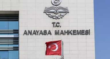 AYM İlk İncelemesini Yaptı: Sokak Hayvanları Yasası Esastan Görüşülecek!