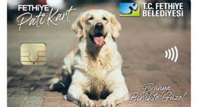 Fethiye Belediyesi'nden Hayvanseverler İçin “PATİ KART” Uygulaması Başlatılıyor