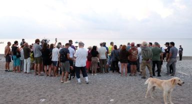 Kemer'de Son Caretta Caretta Yuvaları Açıldı: 30 Yılın Rekoru Kırıldı