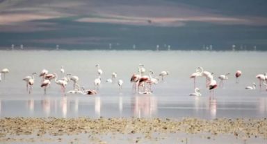 Seyfe Gölü'nün Koruma Alanı Daraltıldı: Altın Madeni Faaliyetleri İçin Kapı Aralandı mı?