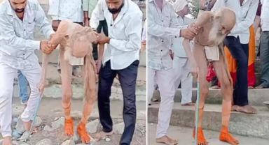 Hindistan’da 188 Yaşında Bir Adam Mağarada Bulundu