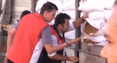 Suriye'den Türkiye'ye Getirilen 79 Ton Ceviz İçi İmha Edildi