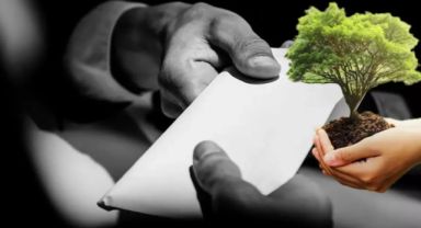 Isparta Orman Müdürlüğü'nde 2 Milyon Liralık Yolsuzluk Skandalı!