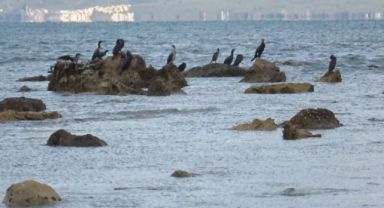 Balıkesir'de Denizin Çekilmesiyle 2 Bin 500 Yıllık Antik Liman Ortaya Çıktı