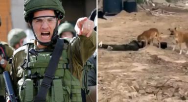 İsrail Askerlerinin İnsanlık Dışı Eylemi: Öldürdükleri Filistinliyi Köpeklere Yedirdiler