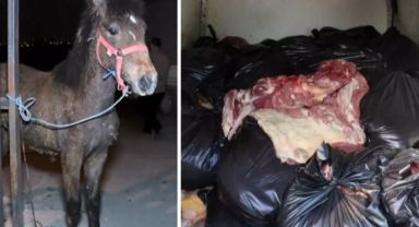 İşte Sucuğa At ve Eşek Eti Karıştıran Firmalar