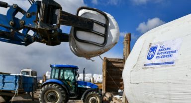 Ankara Büyükşehir Belediyesi Mısır Silajı Desteğini Sürdürüyor