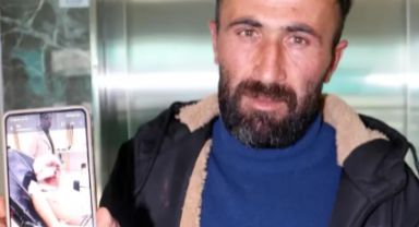 Başıboş Köpekler, Bakkala Giden 10 Yaşındaki Çocuğu Parçaladı