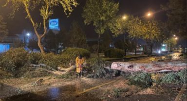 Aydın Büyükşehir Belediyesi, Şiddetli Yağış ve Fırtınaya Karşı Hızlı ve Etkin Müdahale Gerçekleştirdi