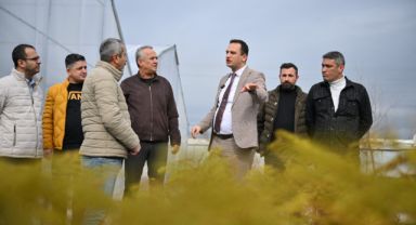 Bornova, Çiçeklerini Kendi Yetiştiriyor: 100 Bin Fidanla Daha Yeşil ve Renkli Bir Kent Hedefleniyor