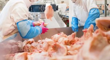 Şenpiliç'ten Skandal Açıklama: 