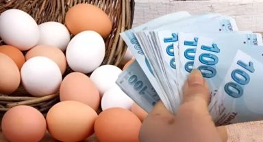 Yumurta Fiyatları Altın Fiyatlarını Geride Bıraktı: Son 9 Ayda İki Kat Artış