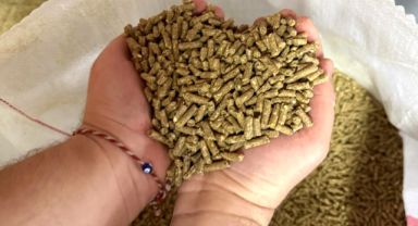 Tekirdağ Büyükşehir Belediyesi’nden Hayvancılığa Güçlü Destek: 2025’in İlk 6 Ayında Önemli Başarılar Elde Edildi