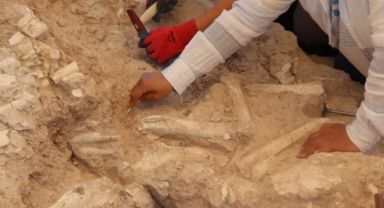 Kayseri’de Keçi Çobanının İhbarıyla Bulunan Fosil Alanı 7,7 Milyon Yıl Öncesine Tarihlendirildi