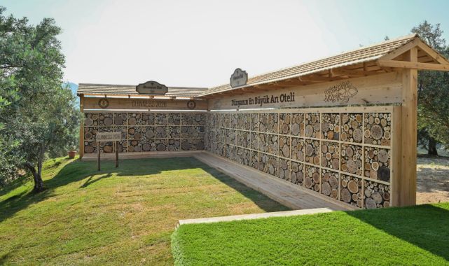 Anavarza Bal Dünyanın En Büyük Arı Oteli ile Guinness Dünya Rekoru’nun Sahibi Oldu